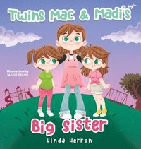 bokomslag Twins Mac & Madi's Big Sister