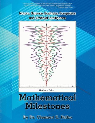 bokomslag Mathematical Milestones