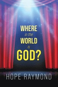 bokomslag Where in the World Is God? Humanity as Mirror