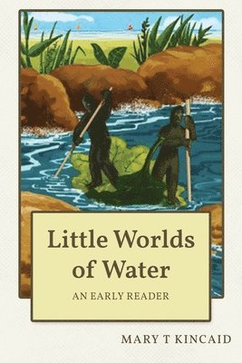 bokomslag Little Worlds of Water