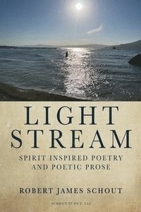 bokomslag Light Stream