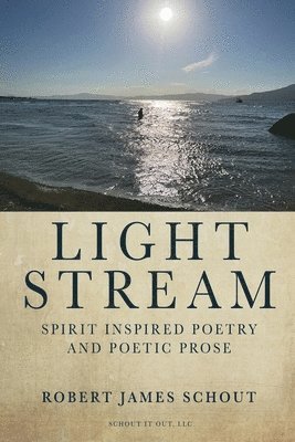 bokomslag Light Stream