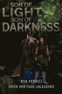 bokomslag Son of Light, Son of Darkness