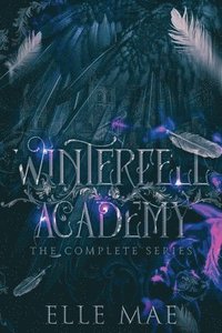 bokomslag Winterfell Academy
