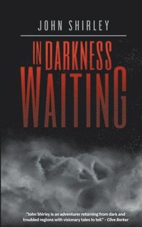 bokomslag In Darkness Waiting