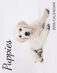 bokomslag Puppies 2025 Calendar