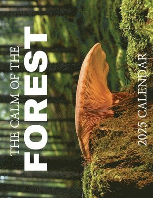 The Calm of the Forest 2025 Calendar 1