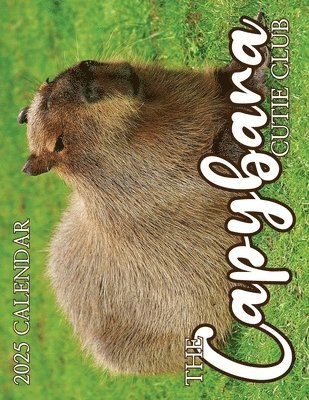 Capybara Cutie Club 2025 Calendar 1