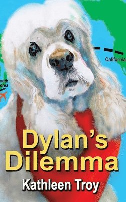 Dylan's Dilemma 1