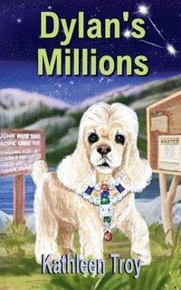 bokomslag Dylan's Millions