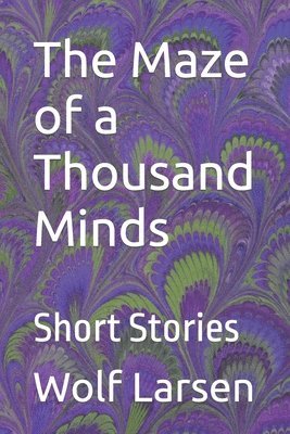 bokomslag Maze of a Thousand Minds