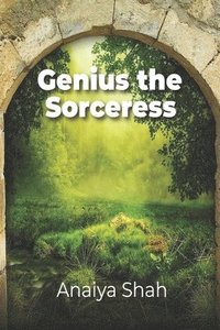 bokomslag Genius the Sorceress