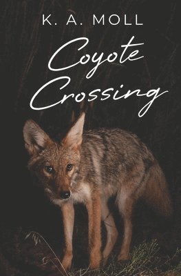 bokomslag Coyote Crossing