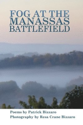 Fog at the Manassas Battlefield 1