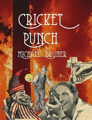 Cricket Punch 1