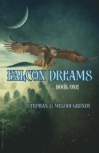 bokomslag Falcon Dreams