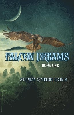 bokomslag Falcon Dreams