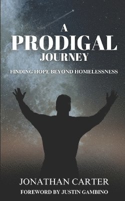 bokomslag Prodigal Journey