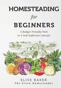 bokomslag Homesteading For Beginners