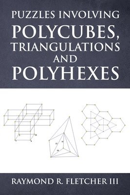 bokomslag Puzzles Involving Polycubes, Triangulations and Polyhexes