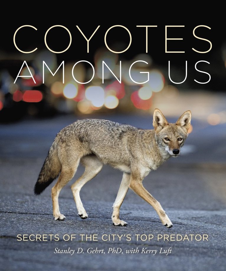 Stanley D. Gehrt, Stanley D. Gehrt PhD - Living With Coyotes, Inbunden