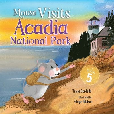 Mouse Visits Acadia National Park 1