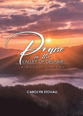 bokomslag PRAISE in the VALLEY OF DESPAIR: A Book of Poems