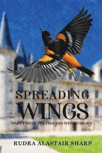 bokomslag Spreading Wings