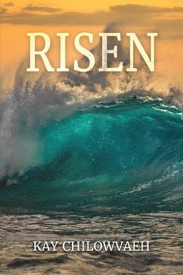 Risen 1