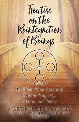 bokomslag Treatise on the REINTEGRATION OF BEINGS