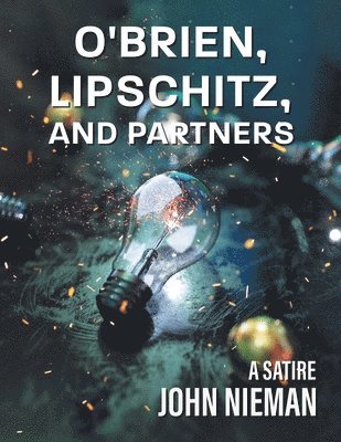 bokomslag O'Brien, Lipschitz and Partners