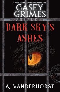 bokomslag Dark Sky's Ashes