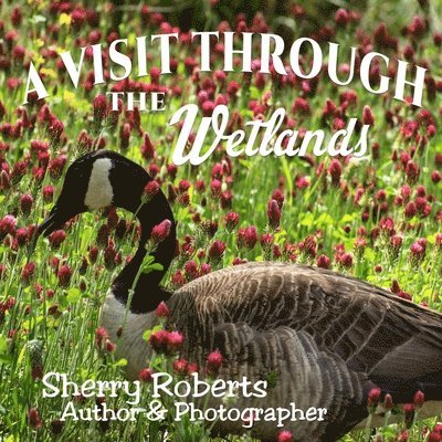 Sherry Roberts - Visit Through the Wetlands, Häftad