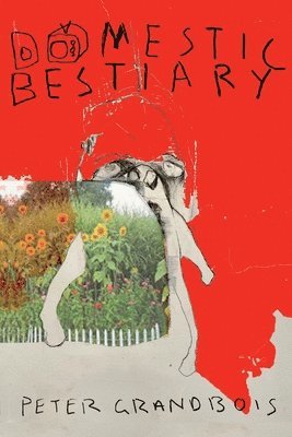 Peter Grandbois - Domestic Bestiary, Häftad