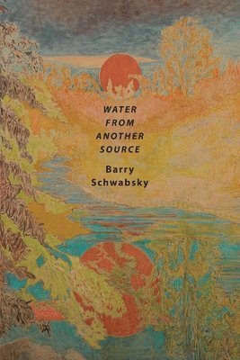 Barry Schwabsky - Water from Another Source, Häftad
