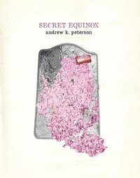 bokomslag Secret Equinox