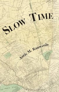 bokomslag Slow Time