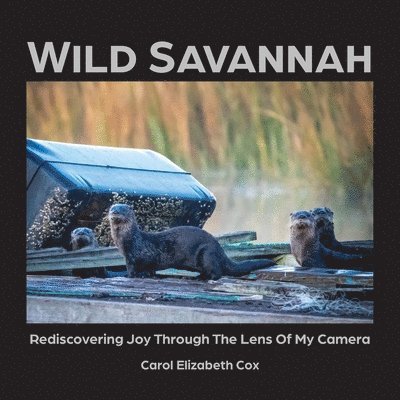 Wild Savannah 1