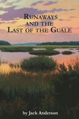 Jack Anderson - Runaways and the Last of the Guale, Häftad