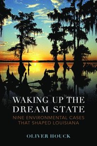 bokomslag Waking Up the Dream State