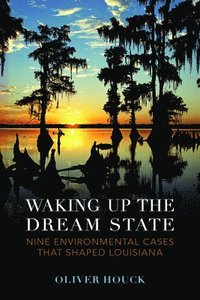 bokomslag Waking Up the Dream State: Nine Environmental Cases That Shaped Louisiana