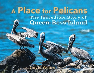 bokomslag A Place for Pelicans: The Incredible Story of Queen Bess Island