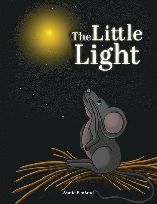 bokomslag The Little Light