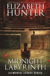 bokomslag Midnight Labyrinth
