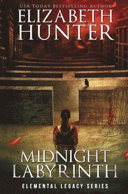 bokomslag Midnight Labyrinth
