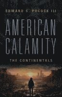 bokomslag American Calamity