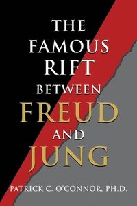 bokomslag Famous Rift Between Freud and Jung