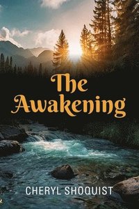bokomslag Awakening