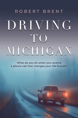 Driving to Michigan 1