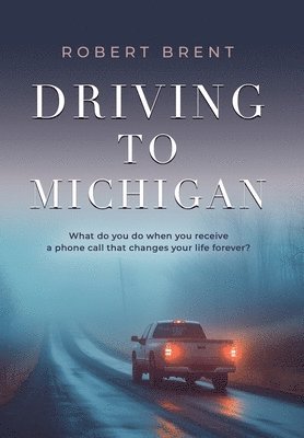 bokomslag Driving to Michigan